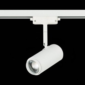Светильник на штанге ST-Luce Zoom ST600.546.12 в Лысьве - lysva.mebel24.online | фото 5