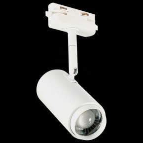 Светильник на штанге ST-Luce Zoom ST600.546.12 в Лысьве - lysva.mebel24.online | фото 6