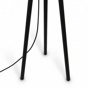 Торшер Maytoni Calvin Z177FL-01B в Лысьве - lysva.mebel24.online | фото 7