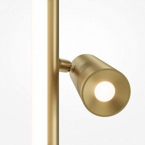 Торшер Maytoni Thin MOD395FL-L28BS3K в Лысьве - lysva.mebel24.online | фото 5