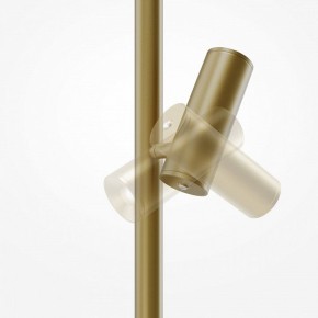 Торшер Maytoni Thin MOD395FL-L28BS3K в Лысьве - lysva.mebel24.online | фото 6