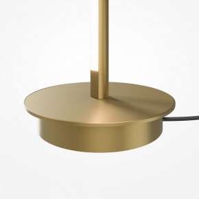 Торшер Maytoni Thin MOD395FL-L28BS3K в Лысьве - lysva.mebel24.online | фото 7