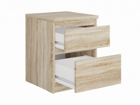 Тумба КАСТОР малая с двумя ящиками, цвет Дуб Сонома в Лысьве - lysva.mebel24.online | фото 2