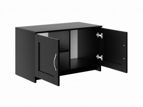 Тумба СИРИУС двухдверная низкая, цвет Дуб Венге в Лысьве - lysva.mebel24.online | фото 3