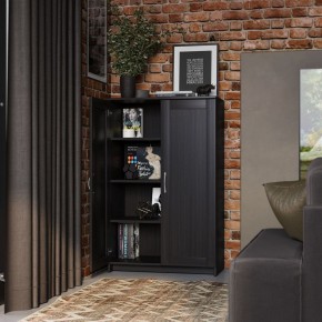 Тумба СИРИУС двухдверная высокая, цвет Дуб Венге в Лысьве - lysva.mebel24.online | фото 4