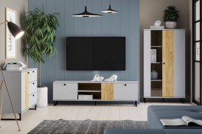 Тумба ТВА НМ 014.46 "Бруно" в Лысьве - lysva.mebel24.online | фото 3