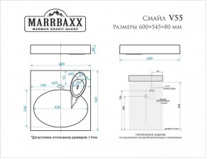 Умывальник над стиральной машиной (600*545*80) Смайл V55D1 (белый) с кронштейном без сифона (V55D1) в Лысьве - lysva.mebel24.online | фото 2