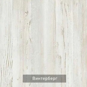 ВИНТЕР - 6.16 Шкаф-купе 1600 без зеркала в Лысьве - lysva.mebel24.online | фото 5